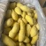 工厂直接生产榴莲肉，榴莲泥，代工榴莲系列产品等