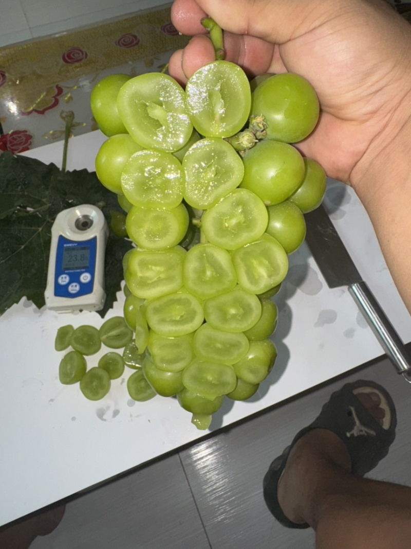 【葡萄】精品阳光玫瑰大量供应现货，质美价廉，口感脆甜