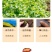 真空小香薯龙岩特产自制番薯独立包装红薯地瓜干香甜解馋代餐零食