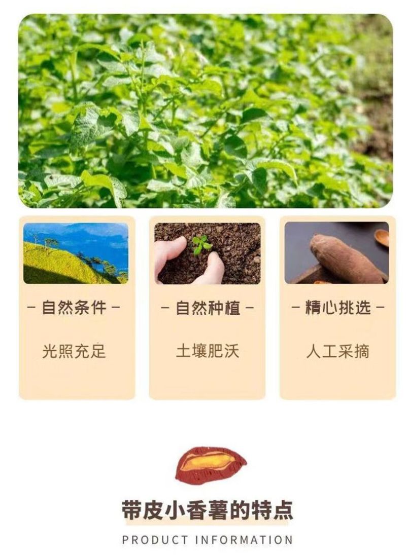 真空小香薯龙岩特产自制番薯独立包装红薯地瓜干香甜解馋代餐零食