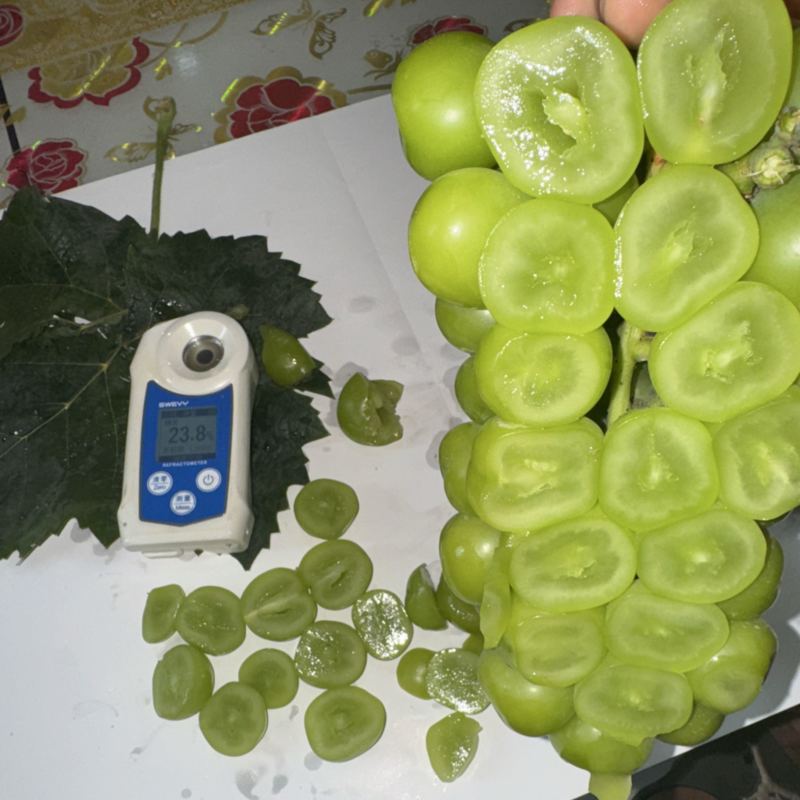 《阳光玫瑰》精品，质量保证，价格美丽，耐储存，脆甜口