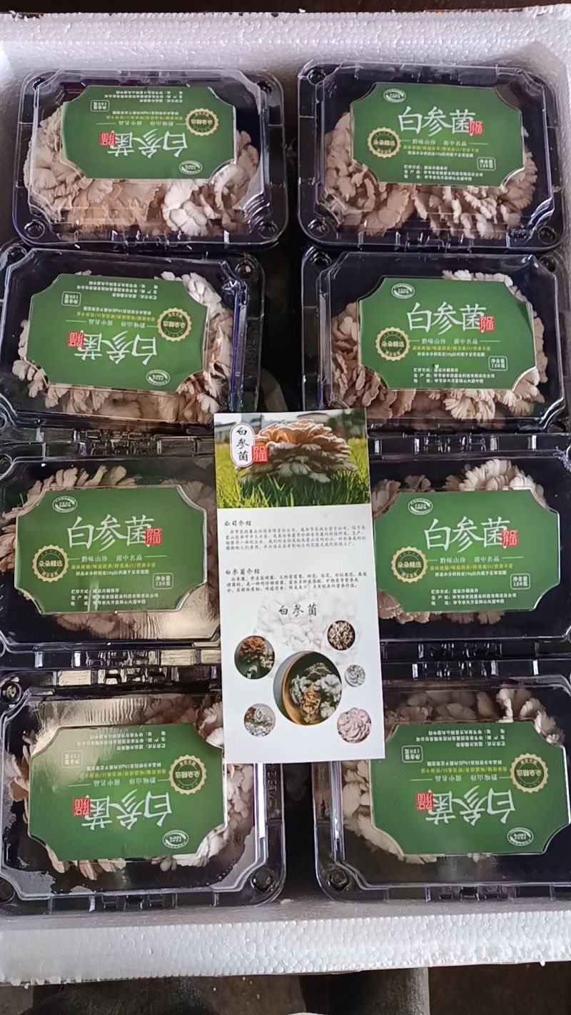 全国白参菌**生产国企厂家，货源充足，厂家出货，价格稳定实惠