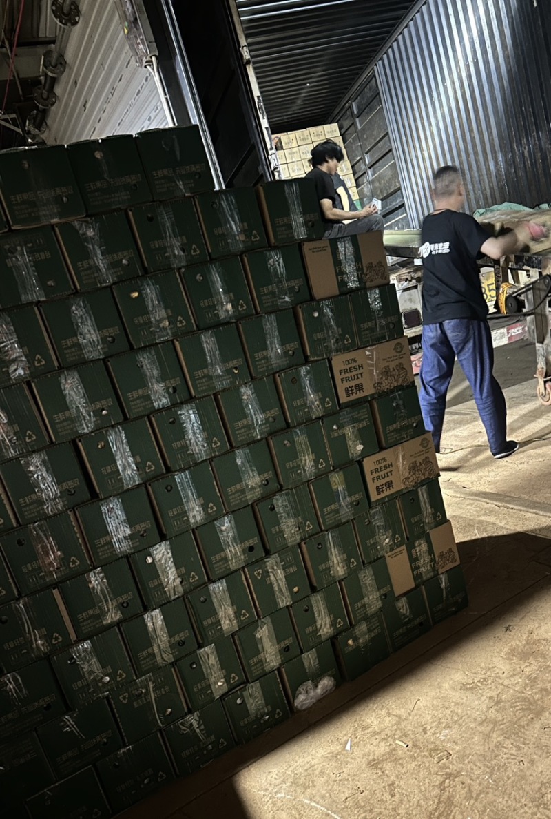 专业电商一件代发全网可发多种价格品质可以选择！