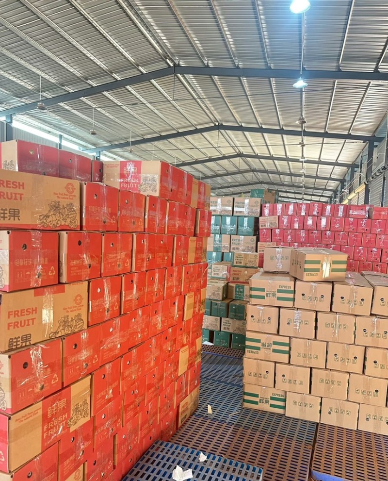 专业电商一件代发全网可发多种价格品质可以选择！