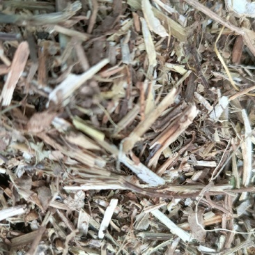 河北花生秧，自有花生种植基地，一手货源，农场直发