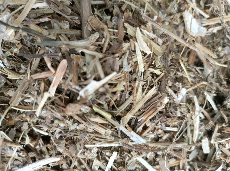 河北花生秧，自有花生种植基地，一手货源，农场直发