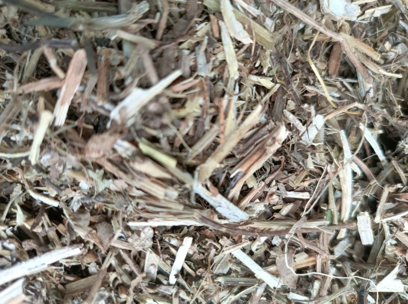 河北花生秧，自有花生种植基地，一手货源，农场直发