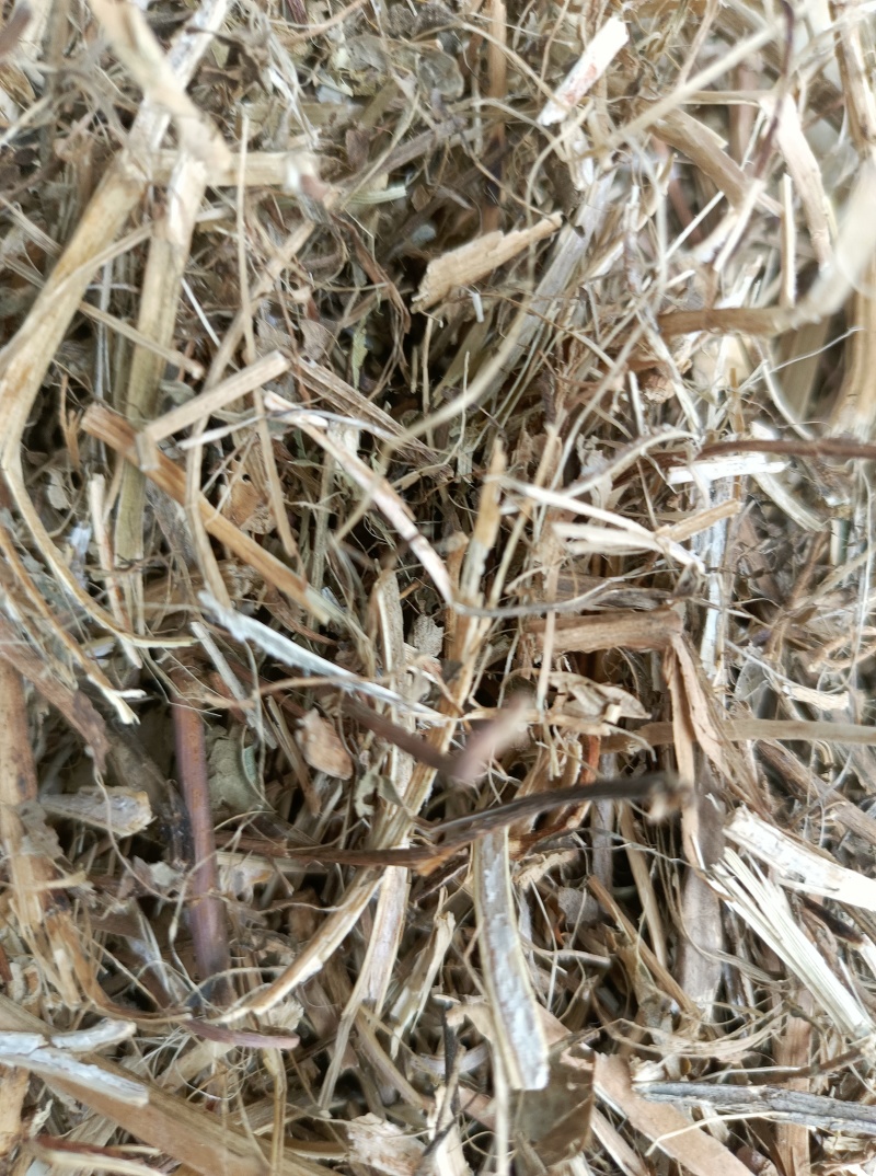 河北花生秧，自有花生种植基地，一手货源，农场直发