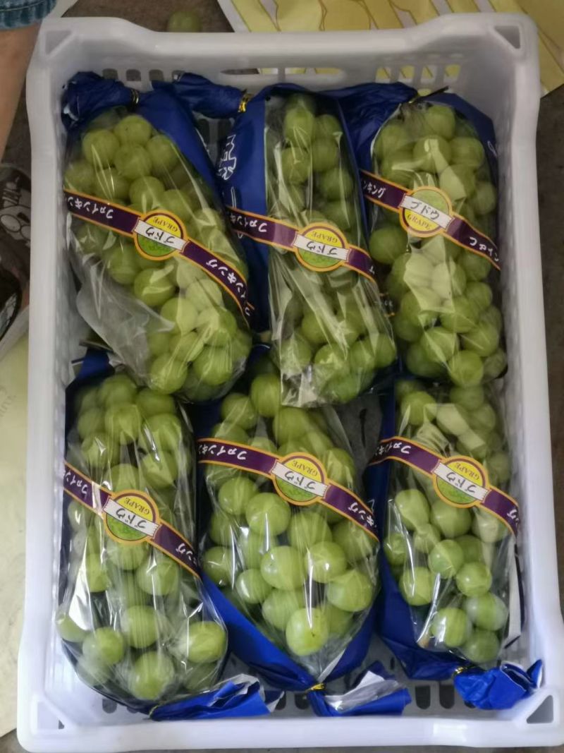 陕西大荔阳光玫瑰晴王颗粒大串型好口感香甜
