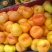 油盘桃，油桃，绿化久毛桃等晚熟品种主产区！