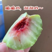 桃子红心脆桃四川桃子产地直发口感脆甜量大优惠