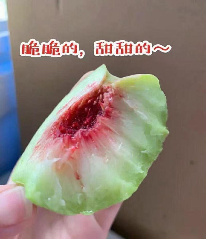 桃子红心脆桃四川桃子产地直发口感脆甜量大优惠