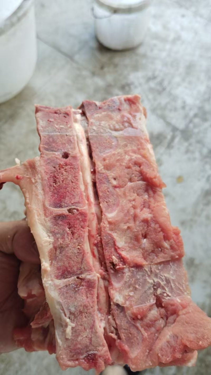 新鲜标猪龙骨