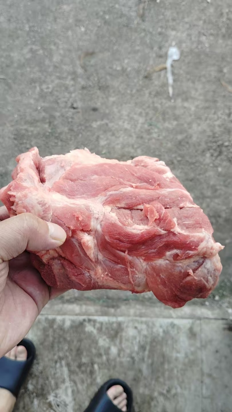 新鲜标猪龙骨