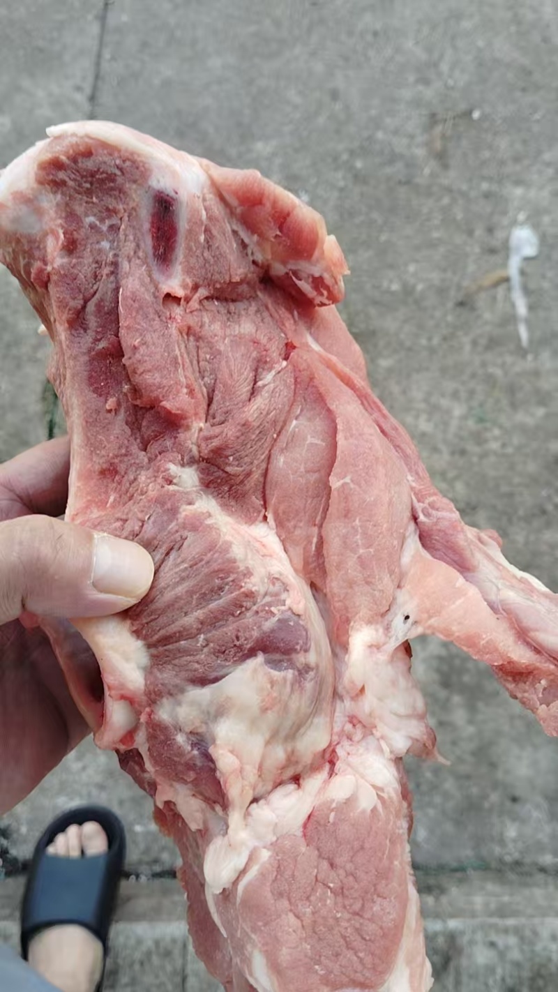 新鲜标猪龙骨