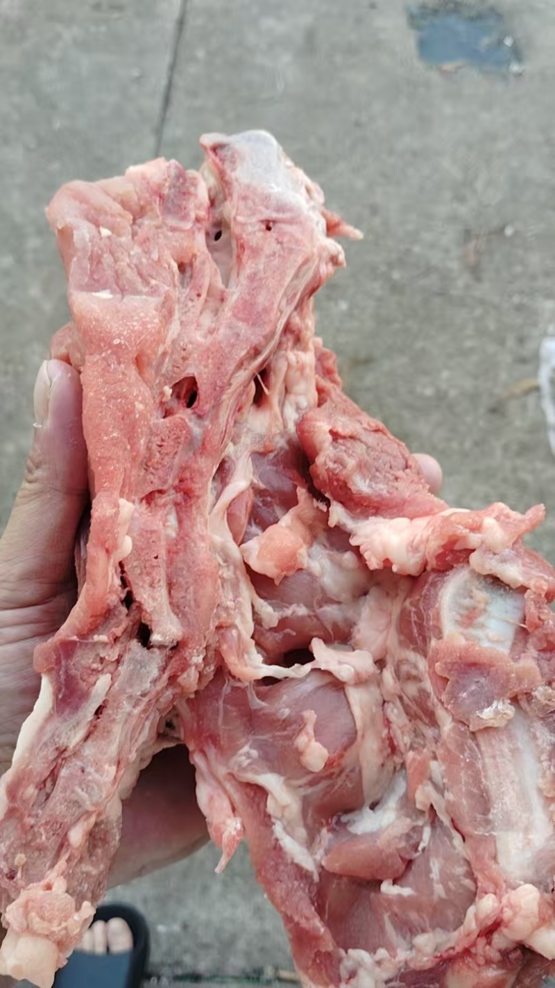 新鲜标猪龙骨