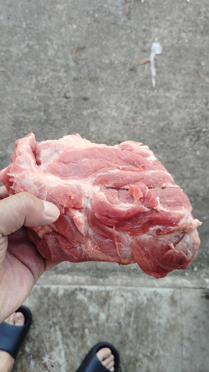 新鲜标猪龙骨