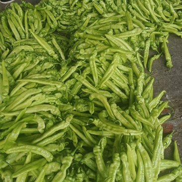 承接各种商超，批发商，电商平台，各大加工厂，各大市场