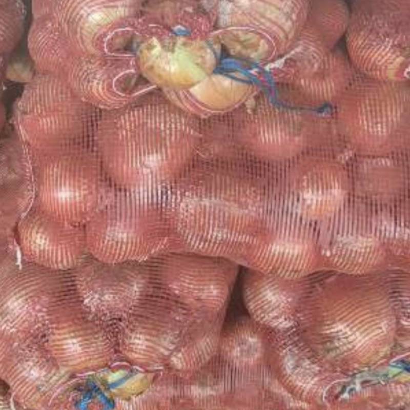 黄皮洋葱，全是大的，欢迎收购
