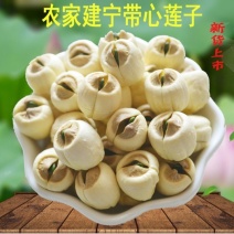 建宁莲子特级带芯白莲子新货大颗粒大货批发