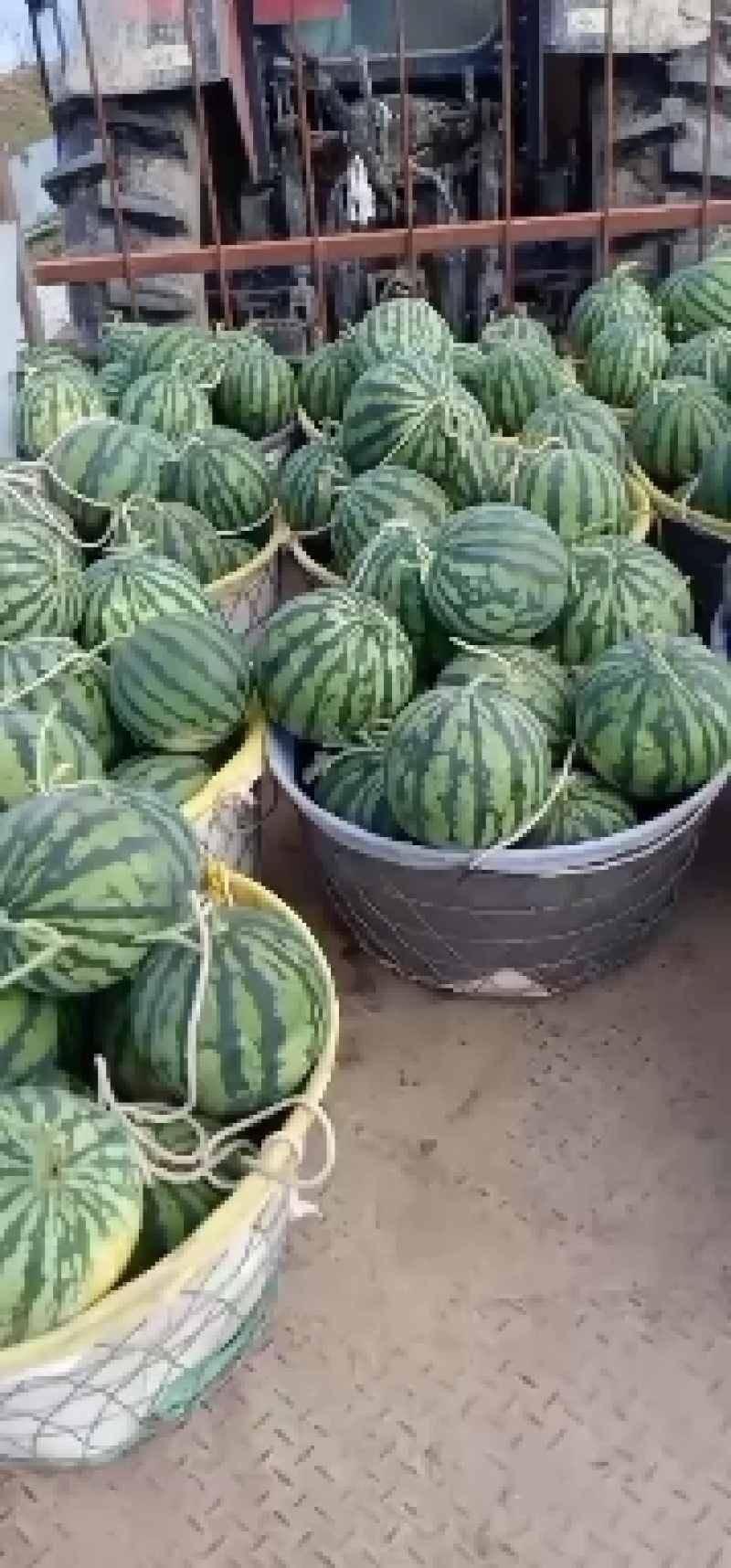 无籽美都，通货出售