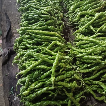 承接各大平台，各大电商，各大商超，各大市场，各大加工厂。