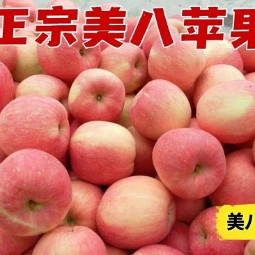 金秋中夏，盛季甘果，运城美八苹果