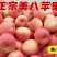 金秋中夏，盛季甘果，运城美八苹果