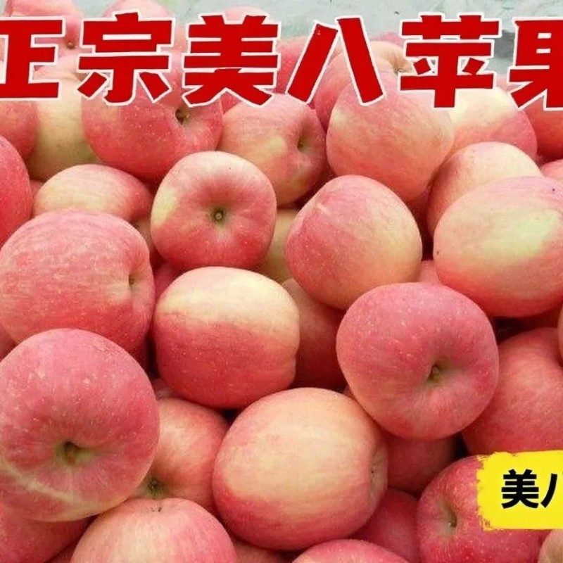 金秋中夏，盛季甘果，运城美八苹果