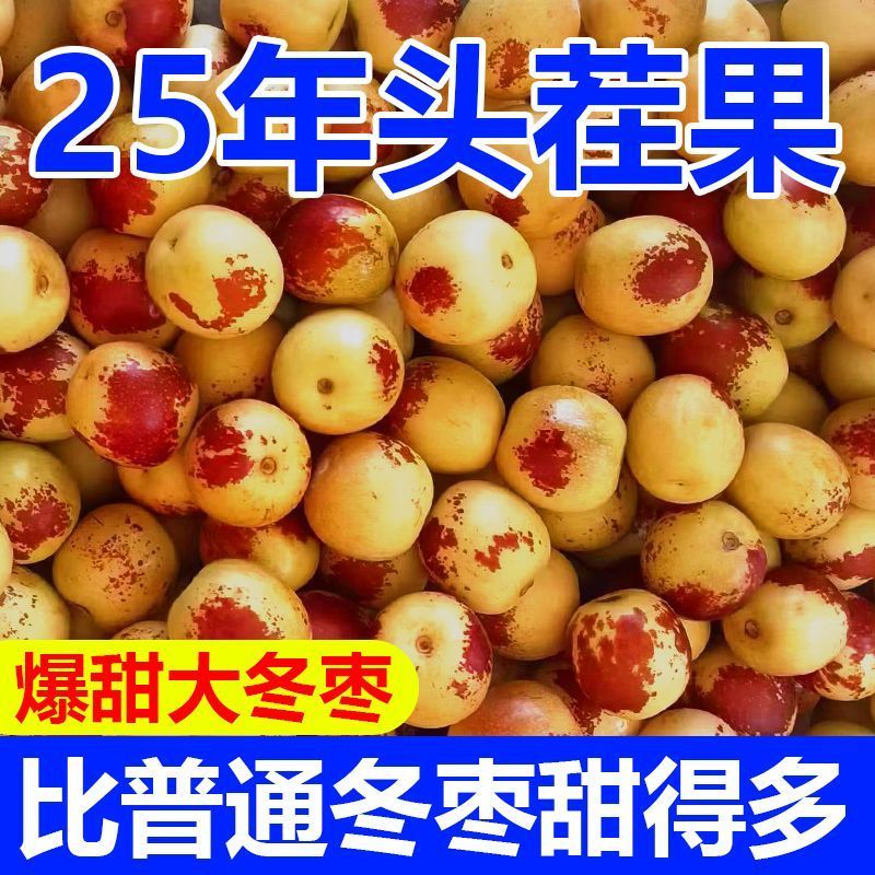 《大荔冬枣》陕西基地直发保质保量现摘现发一条龙服务