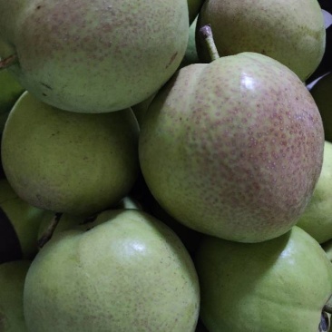 山西万荣王显早熟苹果🍎丹霞红梨🍐桃子🍑大量上市了