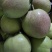 山西万荣王显早熟苹果🍎丹霞红梨🍐桃子🍑大量上市了