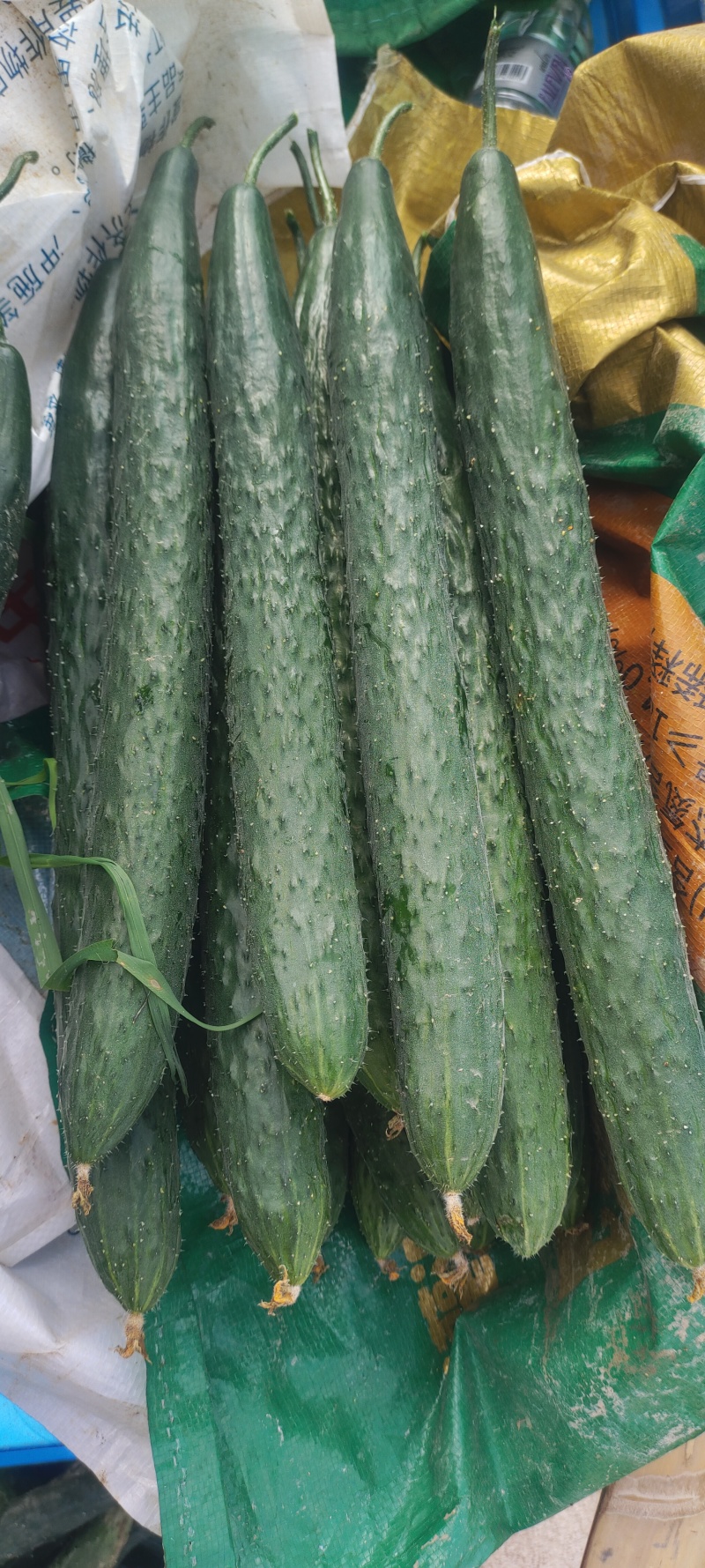 黄瓜