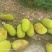 本地菠萝蜜
