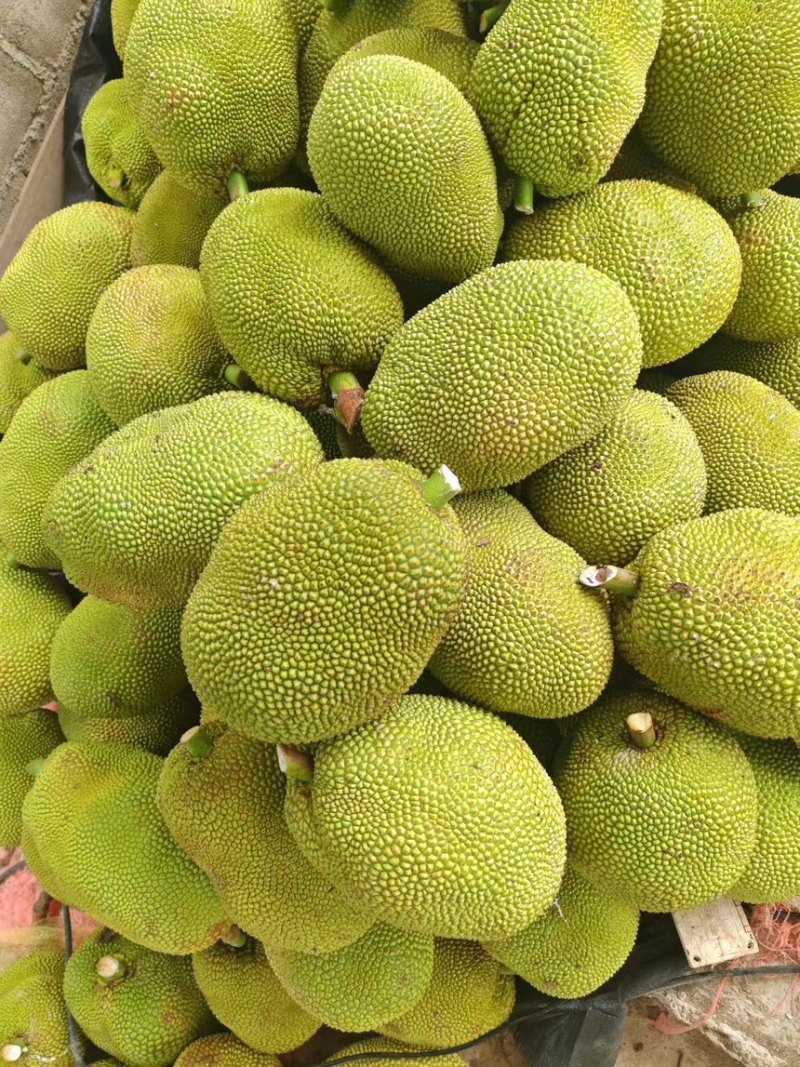 本地菠萝蜜