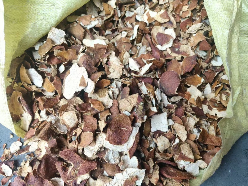 烘干陈皮个橙子渣，桔渣，陈皮丝，橙皮丝湖北产地现货供应