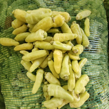 丘北皱皮野山椒