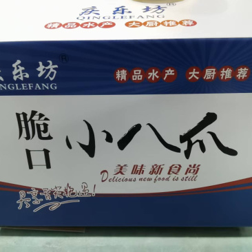 鱿鱼墨鱼章鱼等海鲜食品