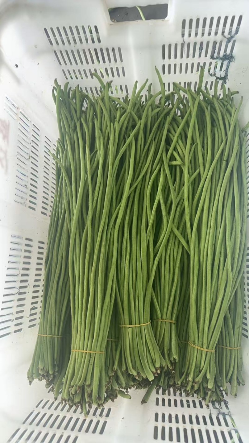 豇豆