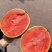 【🍉小吊瓜】辽宁全美2K小糖丸西瓜保熟保甜可对接全国