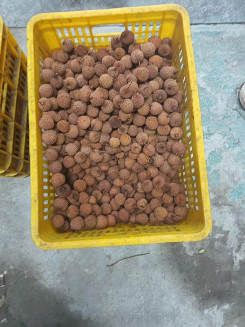 荔枝干