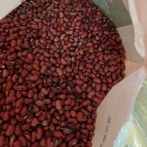 红豆湖南本地豆非转基因豆