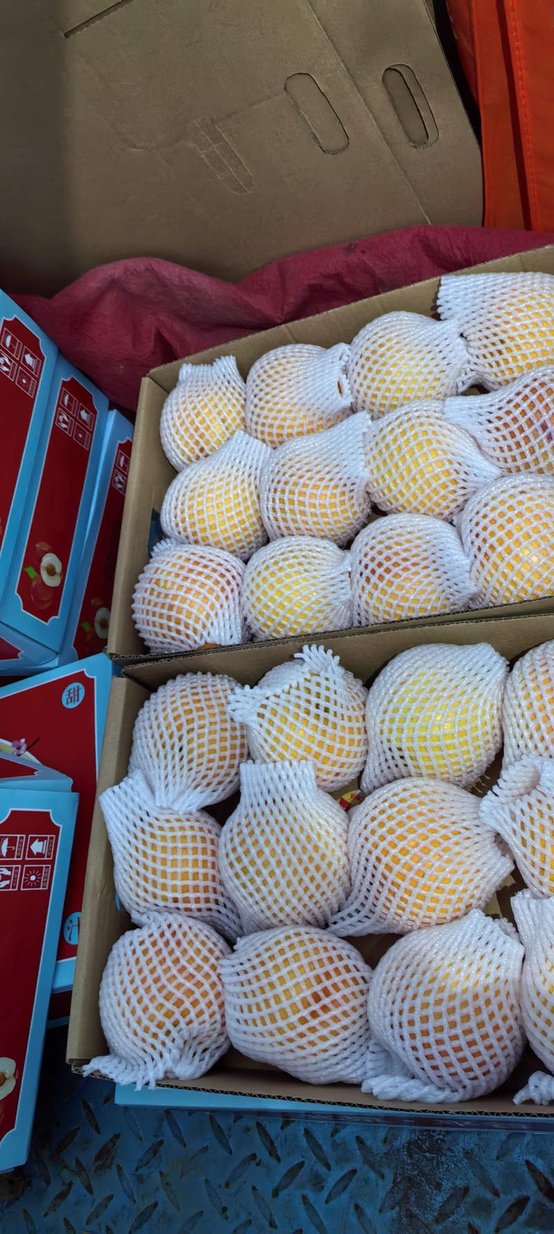 金铭果品