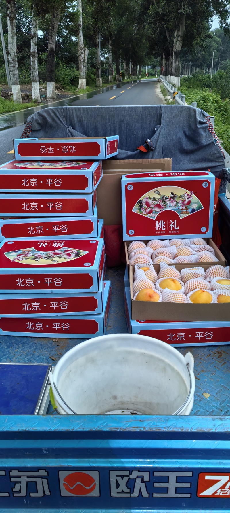 金铭果品