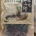 东北秋木耳小碗肉厚无根