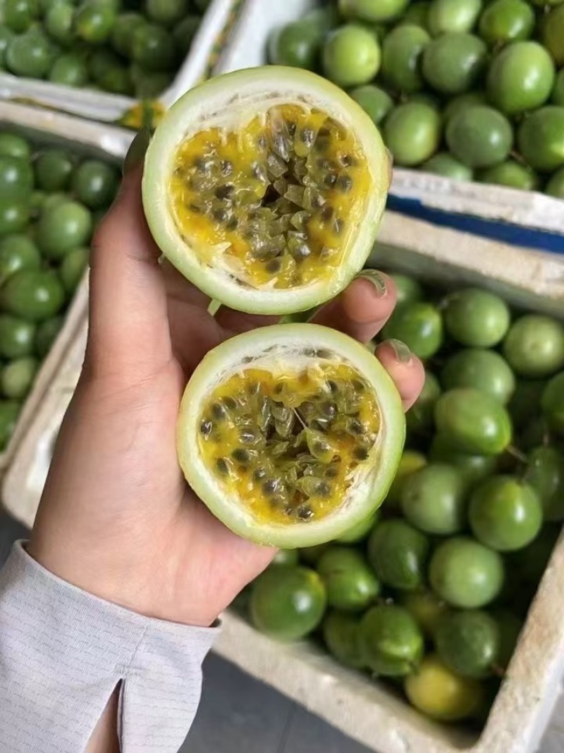钦蜜9号黄金百香果