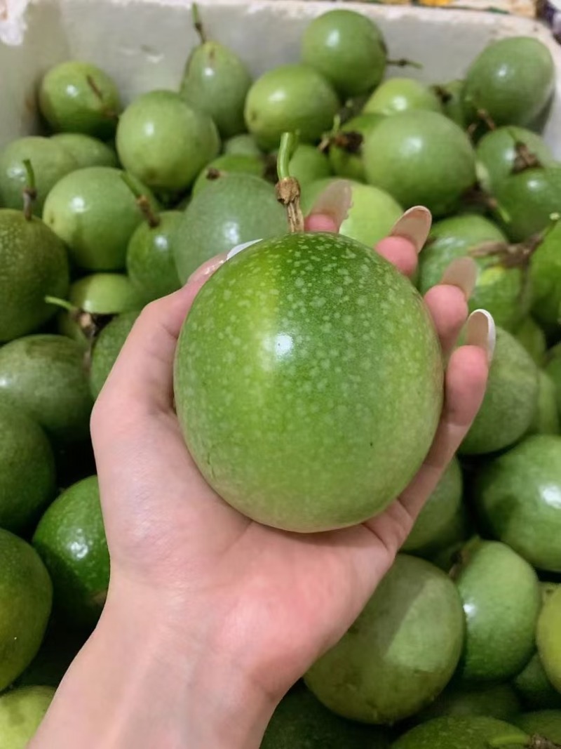 钦蜜9号黄金百香果