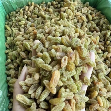 无核白葡萄干