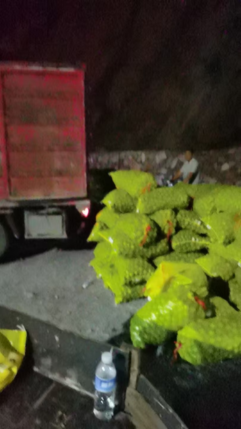 辽系青皮核桃，一手货源，产地直发，货源充足，量大从优