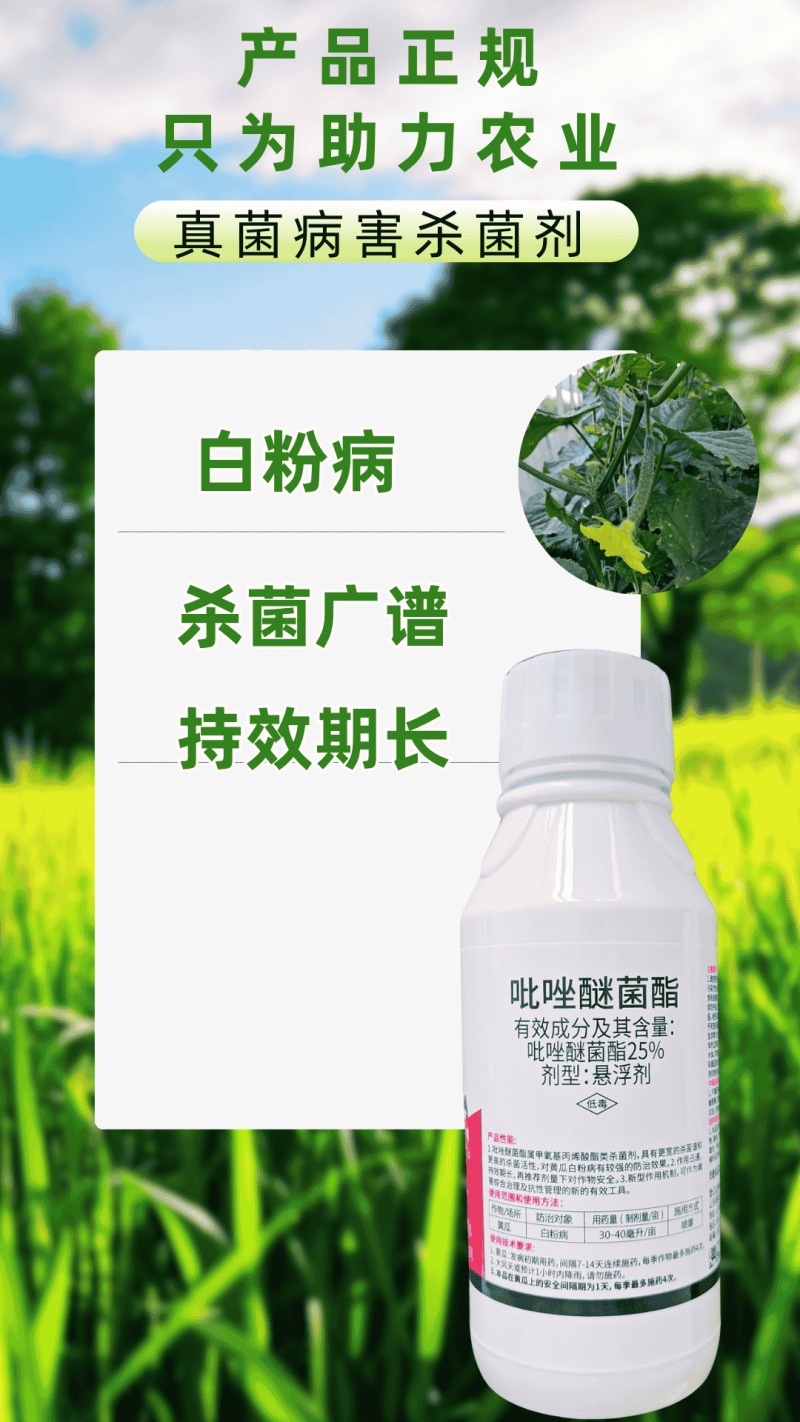 25%吡唑醚菌酯赤霉病叶斑病斑点真菌病害广谱杀菌